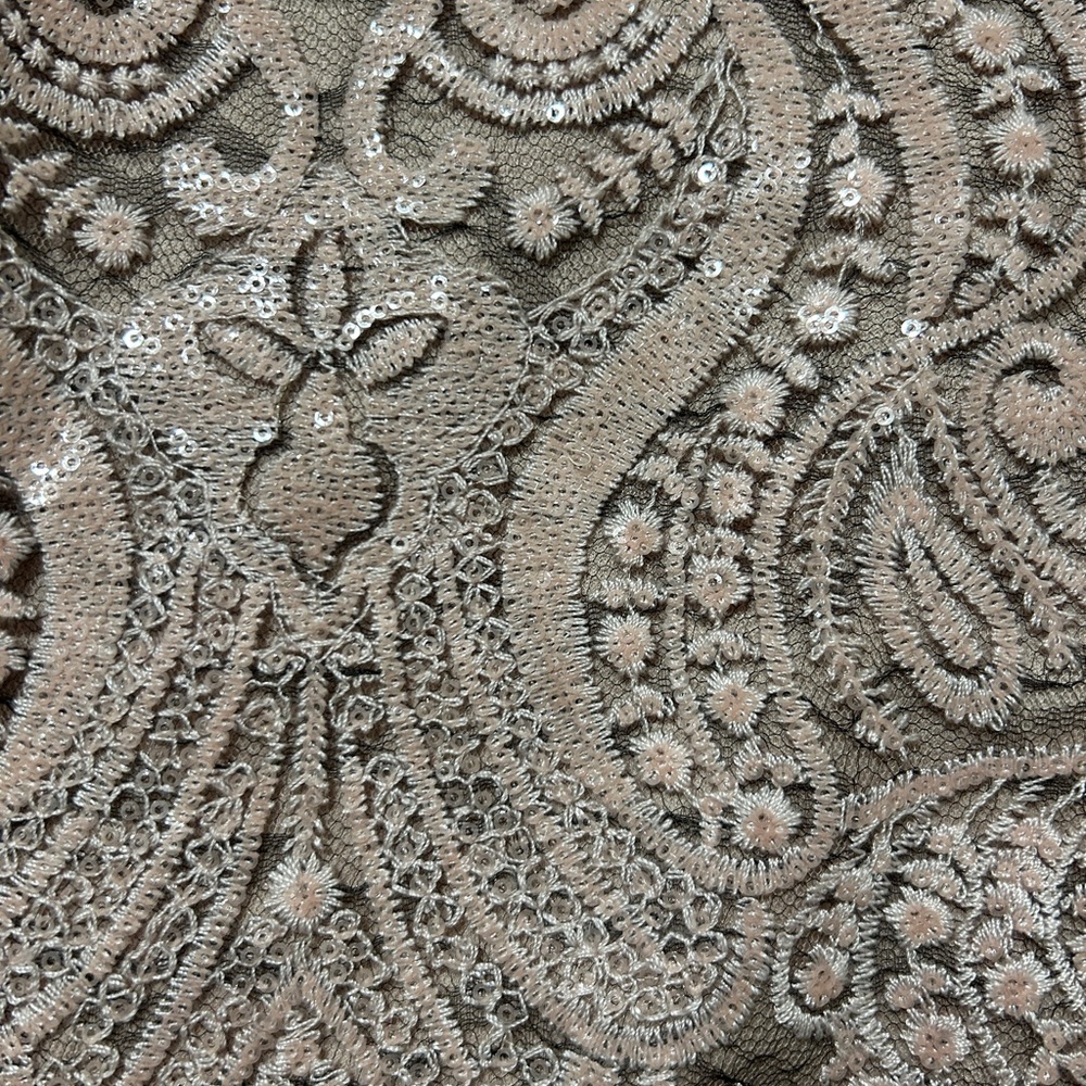 NWT Calvin Klein Taupe Lace and Sequin Midi Dress - Picture 3 of 6